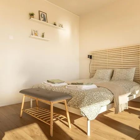 Modern With Balcony And Free Parking Apartment